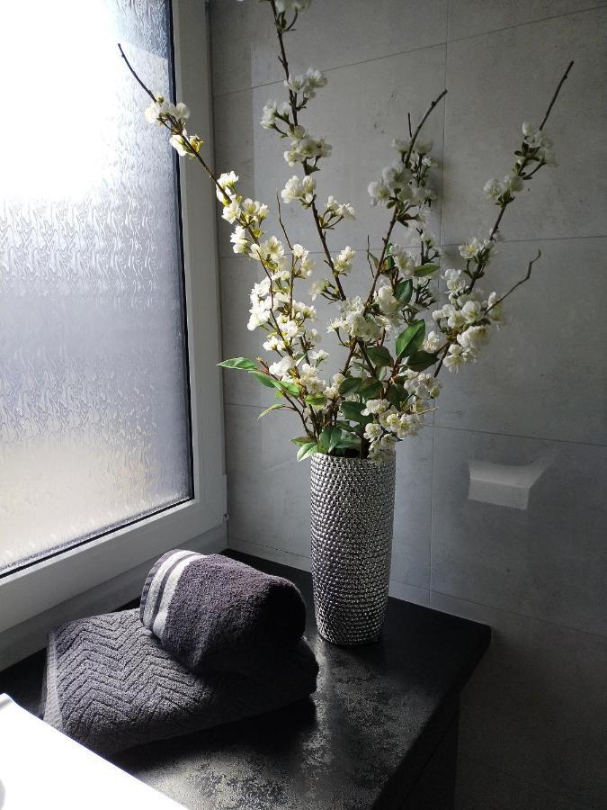 Apartament - Come In Lubiń Kültér fotó